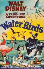 Watch Water Birds (Short 1952) 123moviesfree