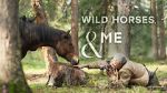 Watch Wild Horses, the Rockies and Me (TV Special 2025) 123moviesfree