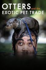 Watch Otters and the Exotic Pet Trade 123moviesfree