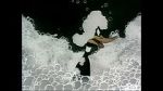 Watch Ain\'t that Ducky (Short 1945) 123moviesfree