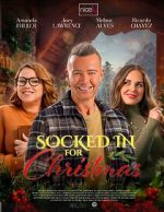 Watch The Great Christmas Snow-In 123moviesfree