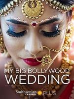Watch My Big Bollywood Wedding 123moviesfree