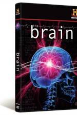 Watch The Brain 123moviesfree