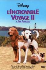 Watch Homeward Bound II Lost in San Francisco 123moviesfree