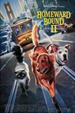 Watch Homeward Bound II: Lost in San Francisco 123moviesfree