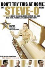 Watch Don't Try This at Home The Steve-O Video 123moviesfree