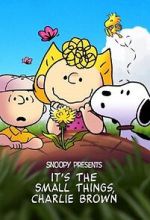 Watch Snoopy Presents: It's the Small Things, Charlie Brown (TV Special 2022) 123moviesfree