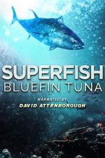 Watch Superfish Bluefin Tuna 123moviesfree