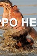 Watch Hippo Hell 123moviesfree