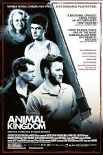 Watch Animal Kingdom 123moviesfree