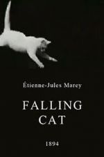 Watch Falling Cat 123moviesfree