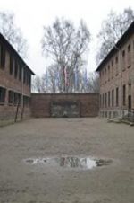 Watch Made in Auschwitz: The Untold Story of Block 10 123moviesfree