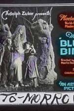Watch The Blue Bird 123moviesfree