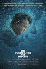 Watch The Possibilities Are Endless 123moviesfree