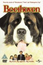 Watch Beethoven 123moviesfree