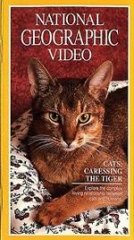 Watch Cats: Caressing the Tiger 123moviesfree