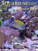 Watch Aquarium for Your Home: Saltwater Reef 123moviesfree