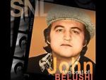 Watch Saturday Night Live: The Best of John Belushi 123moviesfree