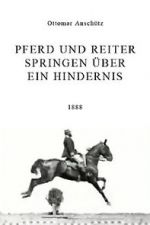 Watch Pferd und Reiter Springen über ein Hindernis 123moviesfree