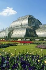 Watch Cruickshank on Kew: The Garden That Changed the World 123moviesfree