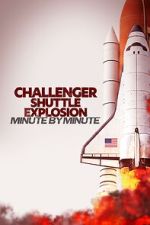 Watch Challenger Shuttle Disaster: Minute by Minute 123moviesfree