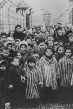 Watch AUSCHWITZ: LIBERATION AND REVENGE 123moviesfree