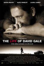 Watch The Life of David Gale 123moviesfree