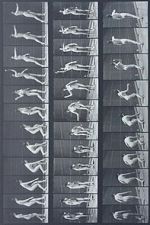 Watch Woman Throwing Baseball 123moviesfree