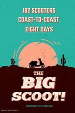 Watch The Big Scoot 123moviesfree