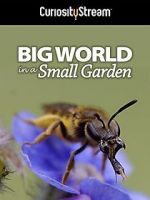 Watch Big World in a Small Garden (TV Short 2016) 123moviesfree