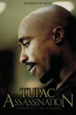 Watch Assassination: Conspiracy or Revenge 123moviesfree