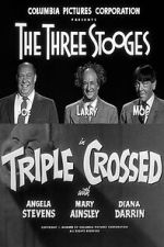 Watch Triple Crossed 123moviesfree