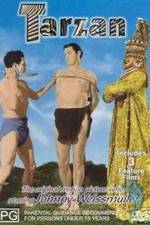 Watch Tarzan and the Mermaids 123moviesfree