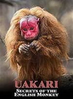 Watch Uakari: Secrets of the English Monkey 123moviesfree