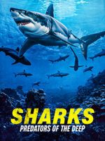 Watch Sharks: Predators of the Deep 123moviesfree