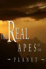 Watch The Real Apes of the Planet 123moviesfree