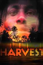 Watch Harvest 123moviesfree