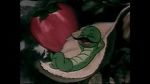 Watch The Wacky Worm (Short 1941) 123moviesfree