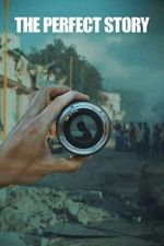 Watch The Perfect Story 123moviesfree