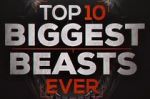 Watch Top 10 Biggest Beasts Ever 123moviesfree