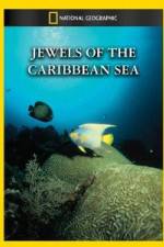Watch National Geographic Jewels of the Caribbean Sea 123moviesfree