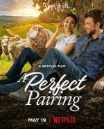 Watch A Perfect Pairing 123moviesfree