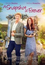 Watch A Snapshot of Forever 123moviesfree