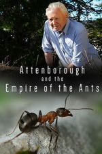 Watch Attenborough and the Empire of the Ants 123moviesfree