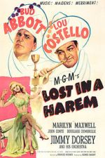 Watch Lost in a Harem 123moviesfree