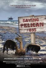 Watch Saving Pelican 895 (Short 2011) 123moviesfree
