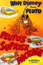 Watch Pluto\'s Surprise Package 123moviesfree