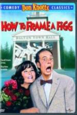 Watch How to Frame a Figg 123moviesfree