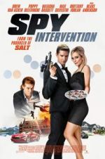 Watch Spy Intervention 123moviesfree