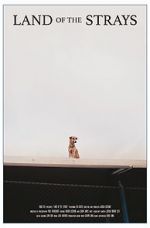 Watch Land of the Strays (Short 2018) 123moviesfree
